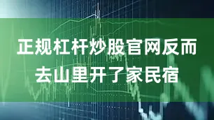 正规杠杆炒股官网反而去山里开了家民宿